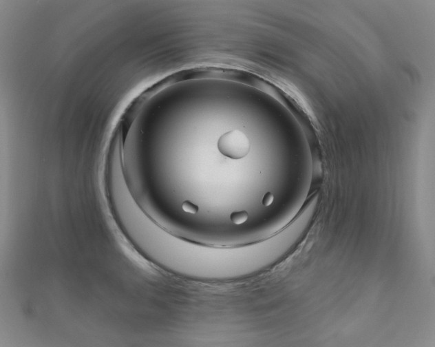 X0000110701136200906121328