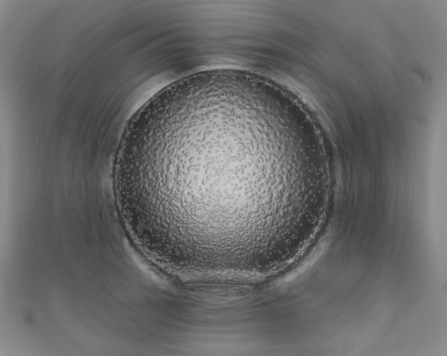 X0000110701137200906121328