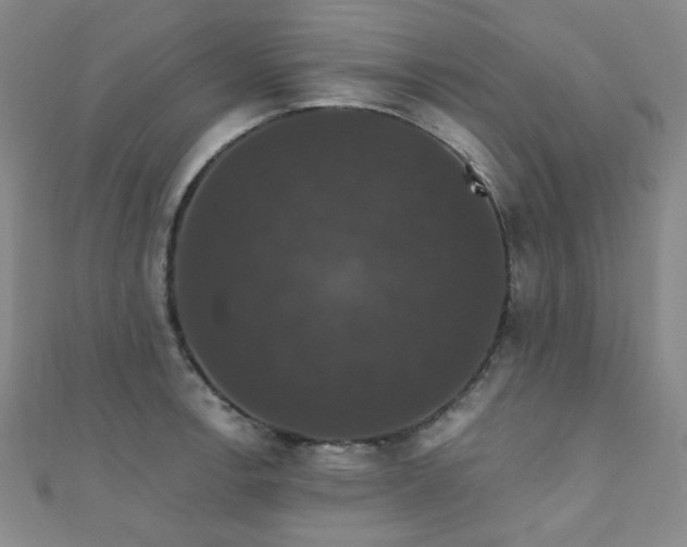 X0000110701138200906121328