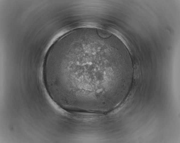 X0000110701139200906121328