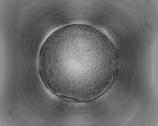 X0000110701140200906121328