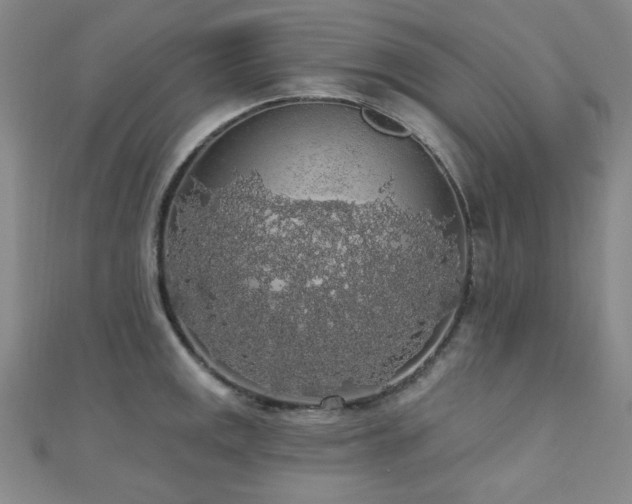 X0000110701141200906121328