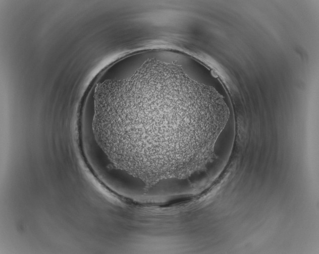 X0000110701142200906121328