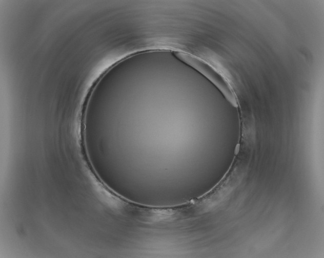 X0000110701144200906121328