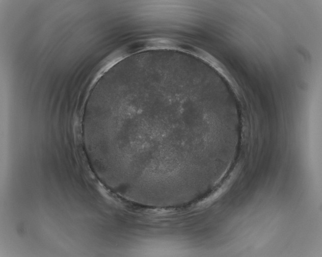 X0000110701145200906121328