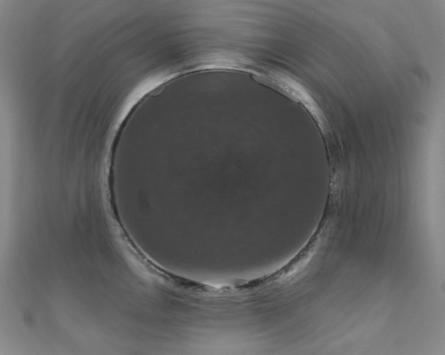 X0000110701146200906121328