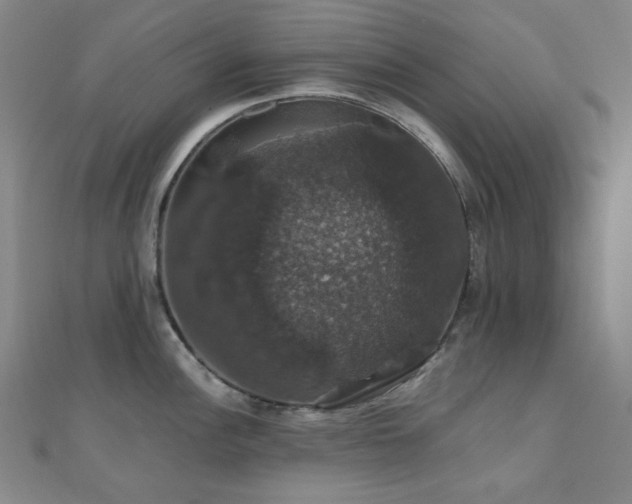 X0000110701148200906121328