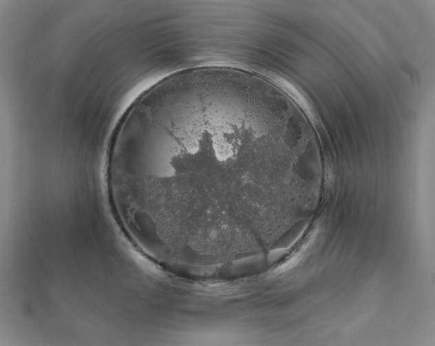 X0000110701149200906121328