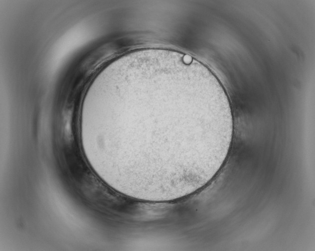 X0000110701150200906121328