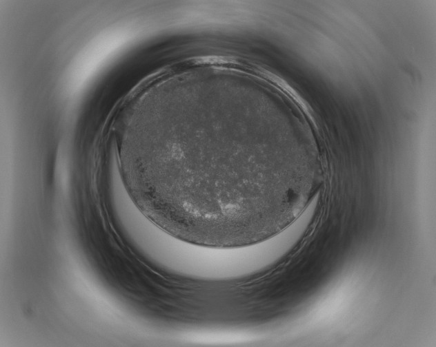 X0000110701151200906121328