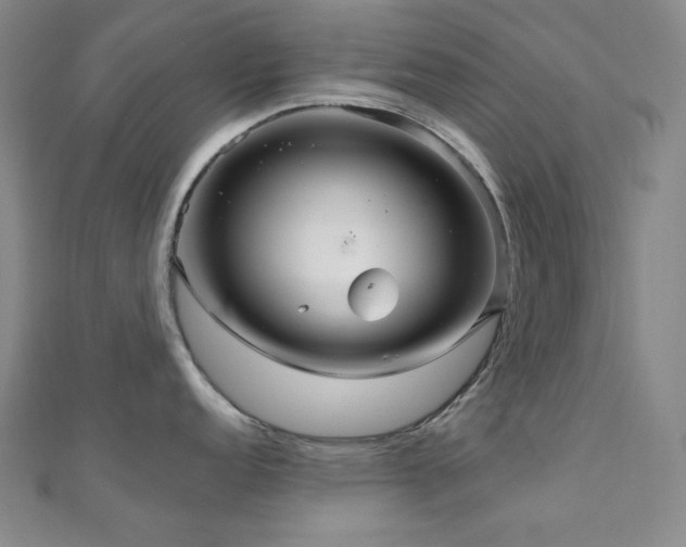 X0000110701152200906121328