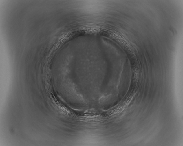 X0000110701153200906121328