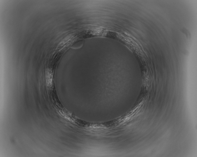 X0000110701154200906121328