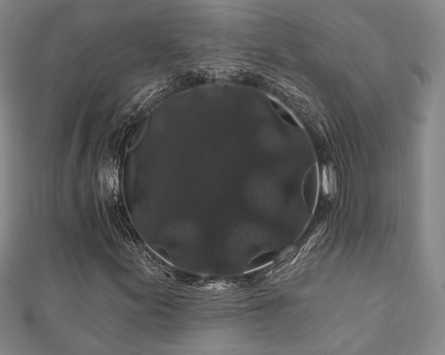 X0000110701155200906121328