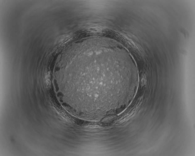 X0000110701156200906121328