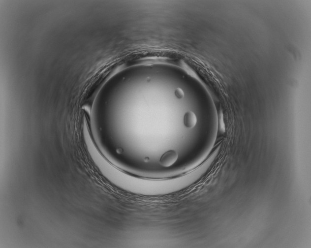 X0000110701157200906121328