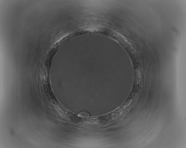 X0000110701158200906121328