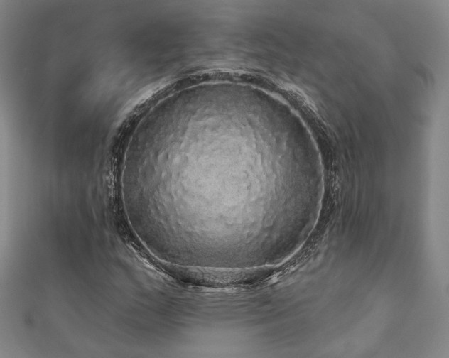 X0000110701159200906121328