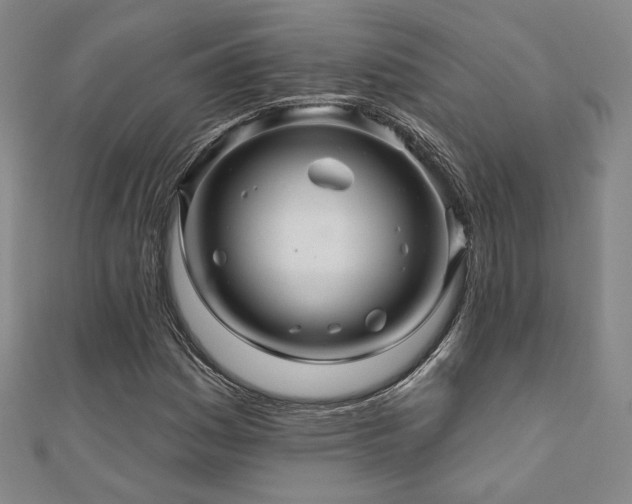 X0000110701161200906121328