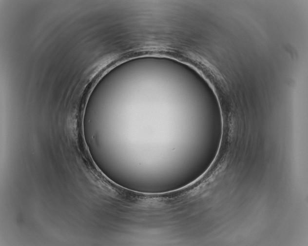 X0000110701162200906121327