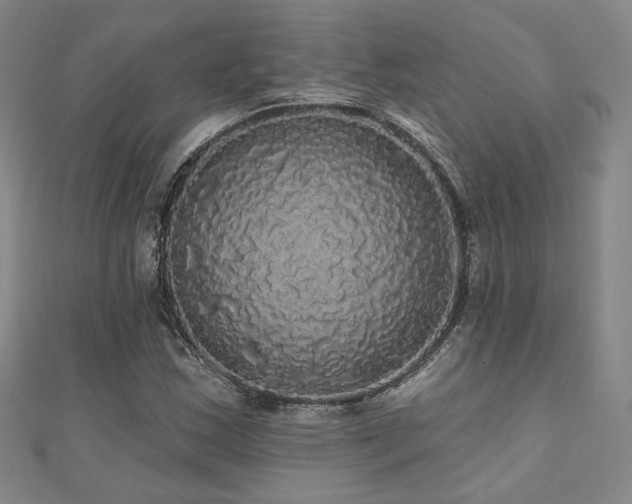 X0000110701163200906121327