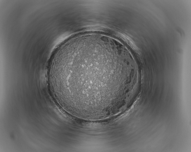 X0000110701164200906121327