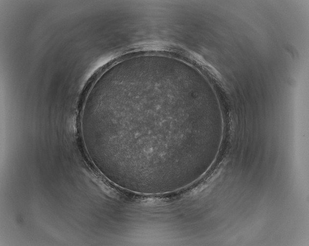 X0000110701166200906121327