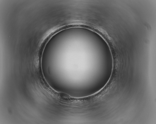 X0000110701167200906121327