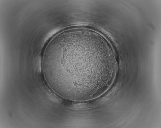 X0000110701171200906121327