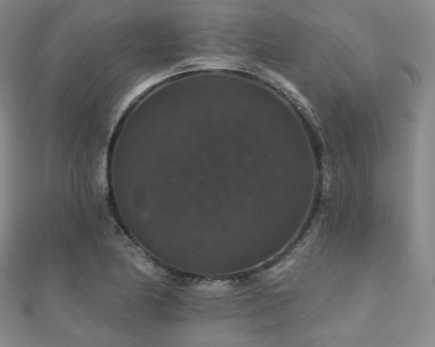 X0000110701174200906121327