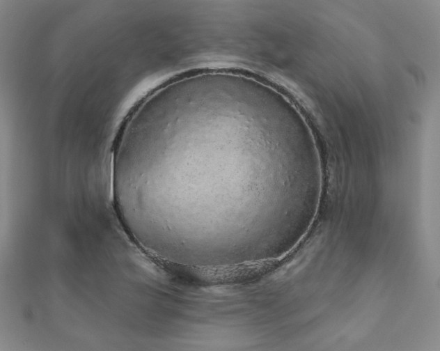 X0000110701175200906121327