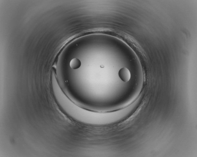 X0000110701177200906121327