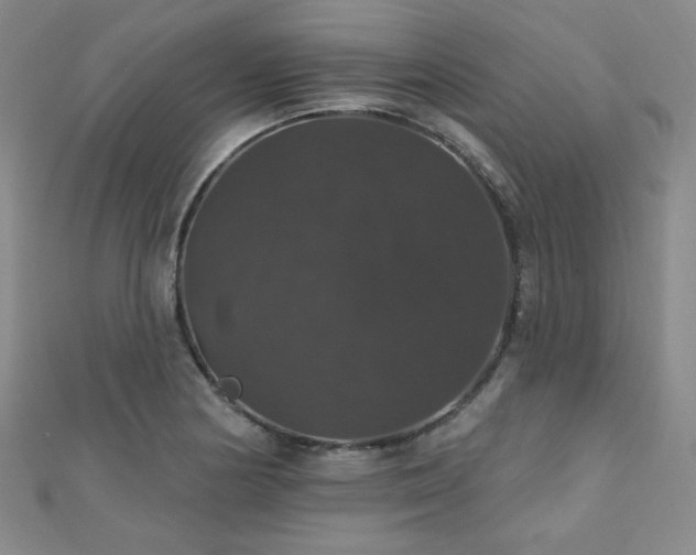 X0000110701178200906121327