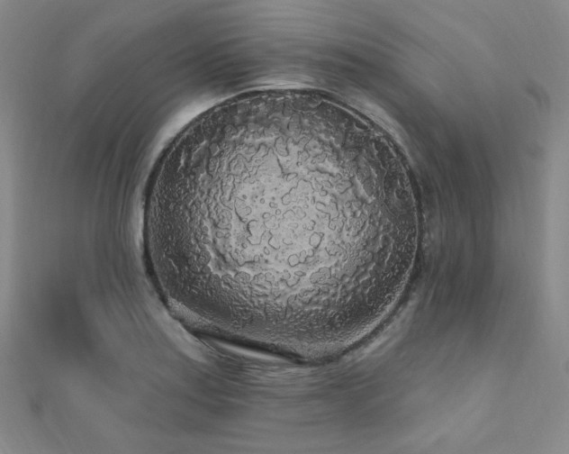 X0000110701179200906121327