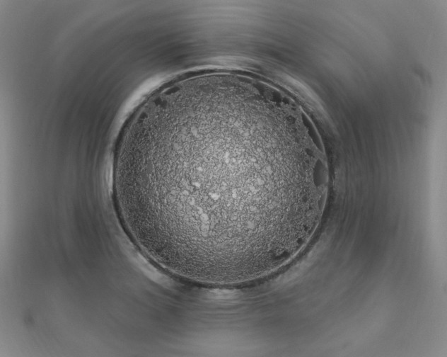 X0000110701180200906121327