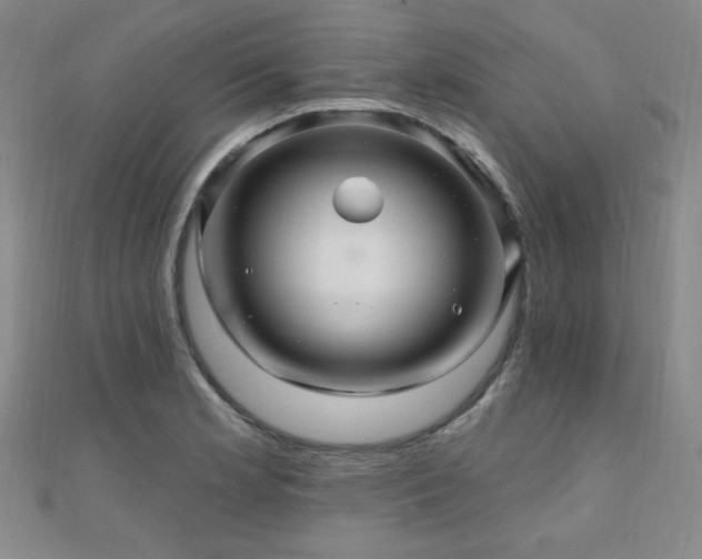 X0000110701181200906121327