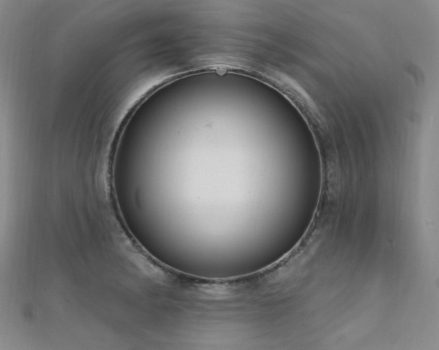 X0000110701182200906121327
