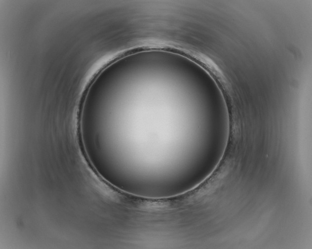 X0000110701183200906121327