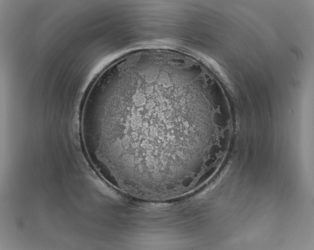 X0000110701184200906121327