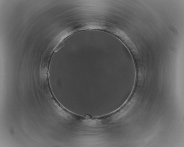 X0000110701185200906121327