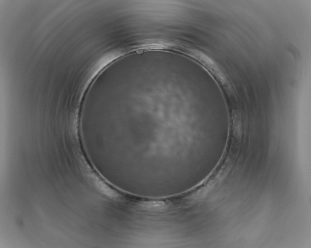 X0000110701186200906121327