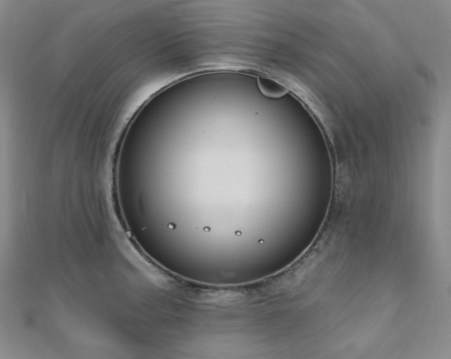 X0000110701187200906121327