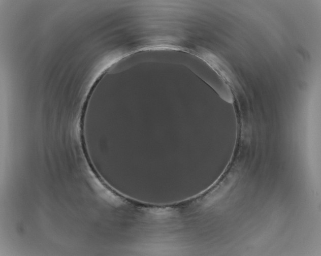X0000110701189200906121327
