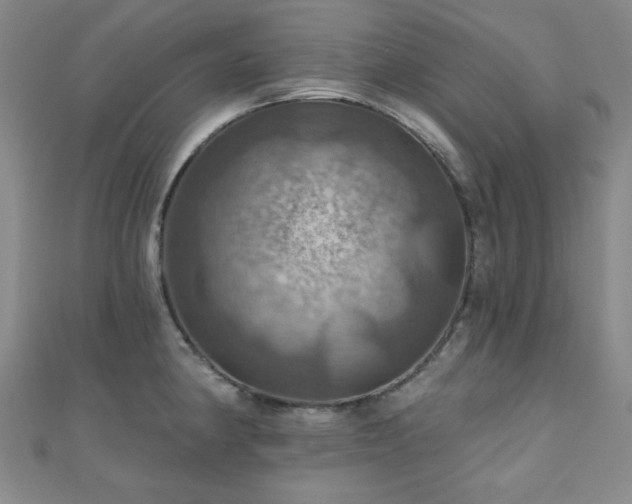 X0000110701190200906121327