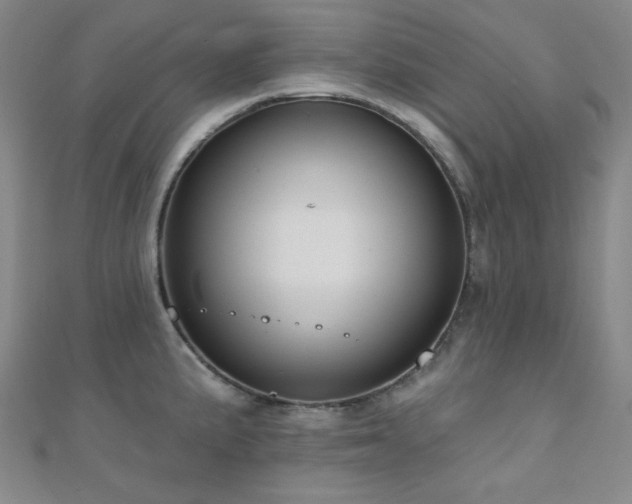 X0000110701191200906121327