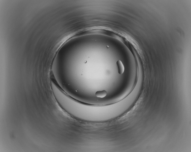 X0000110701193200906121327