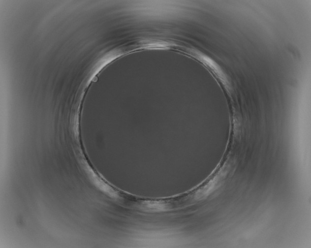 X0000110701194200906121327
