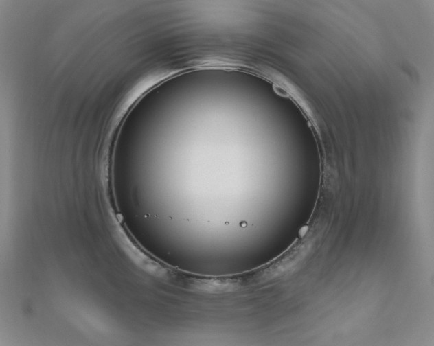 X0000110701195200906121327