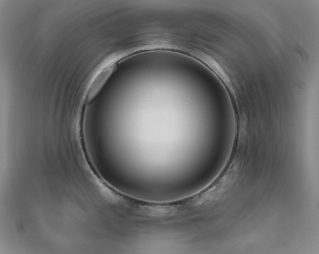 X0000110701197200906121327
