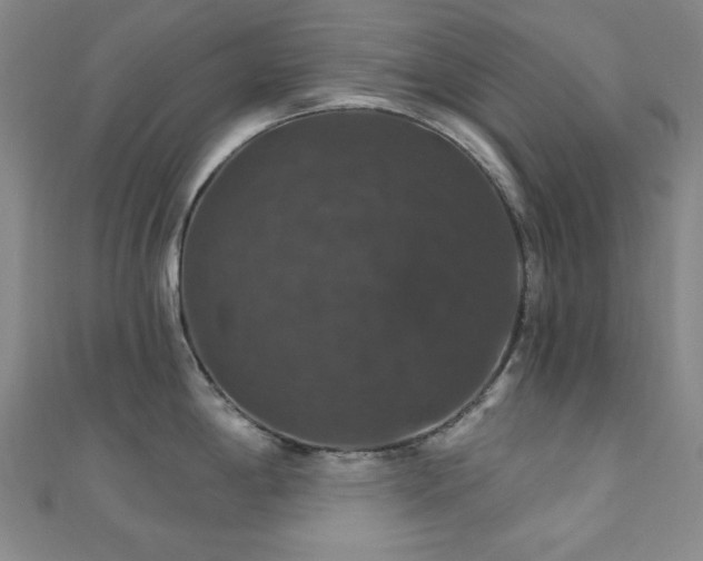 X0000110701198200906121327
